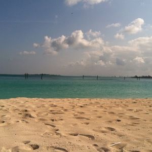 Meet your Posher, Phillip